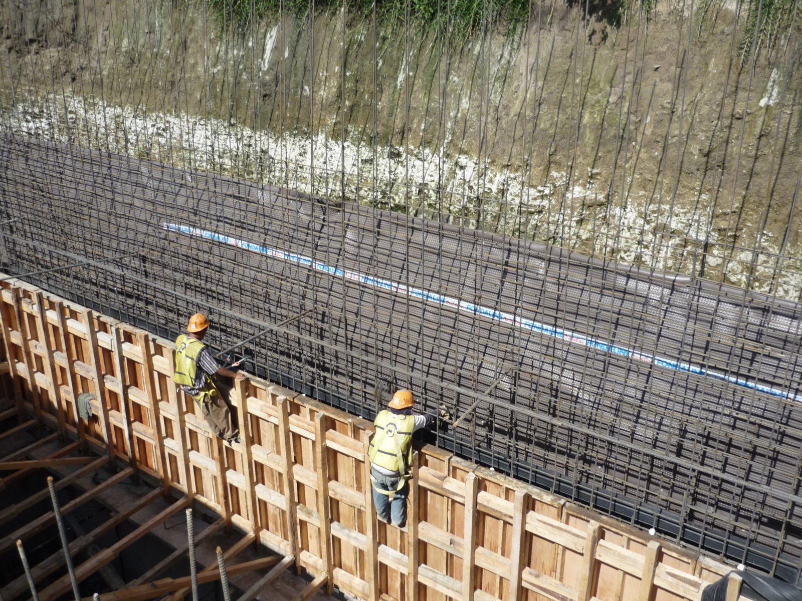 Copia de Fondaline Plus (3)